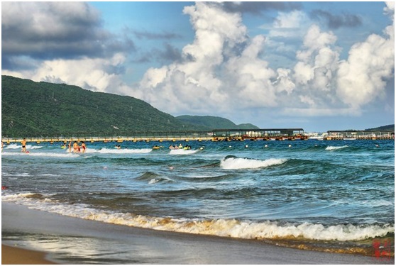 日韩丰满少妇无码内射