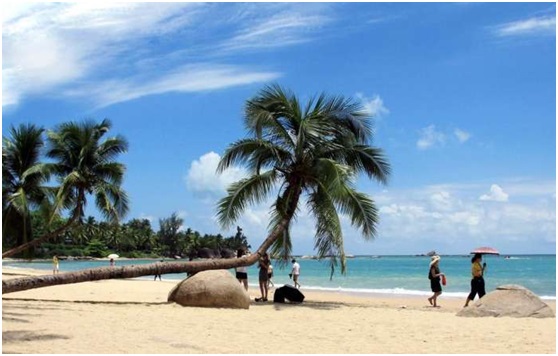 日韩丰满少妇无码内射