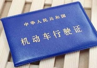 日韩丰满少妇无码内射