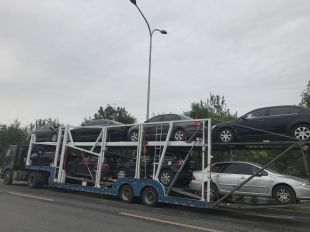 日韩丰满少妇无码内射