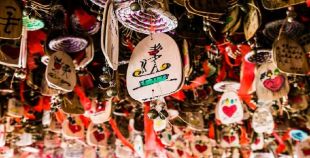 日韩丰满少妇无码内射