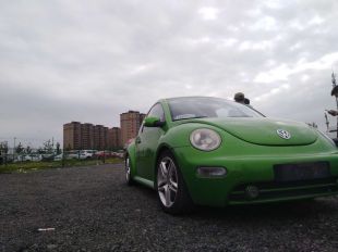 日韩丰满少妇无码内射