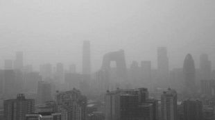 日韩丰满少妇无码内射