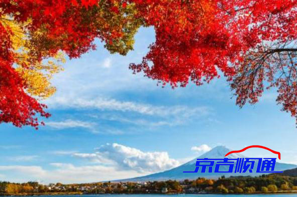 日韩丰满少妇无码内射