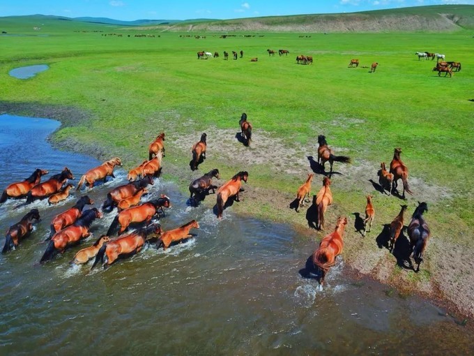 感谢京吉顺通私家车托运,呼伦贝尔大草原我终于来了。 感谢京吉顺通私家车托运,呼伦贝尔大草原我终于来了。