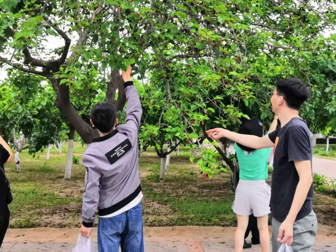 日韩丰满少妇无码内射