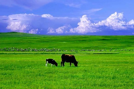 日韩丰满少妇无码内射