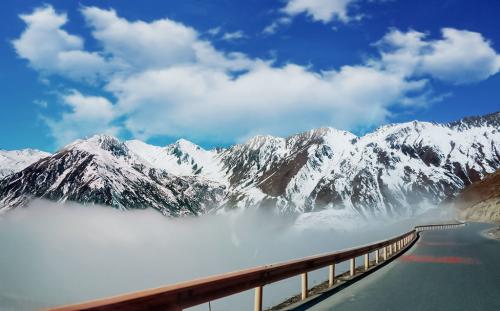 日韩丰满少妇无码内射