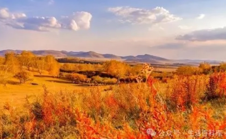 日韩丰满少妇无码内射