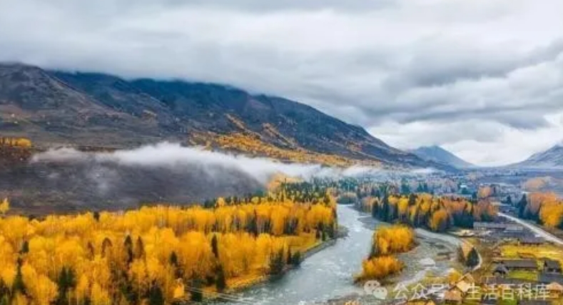 日韩丰满少妇无码内射