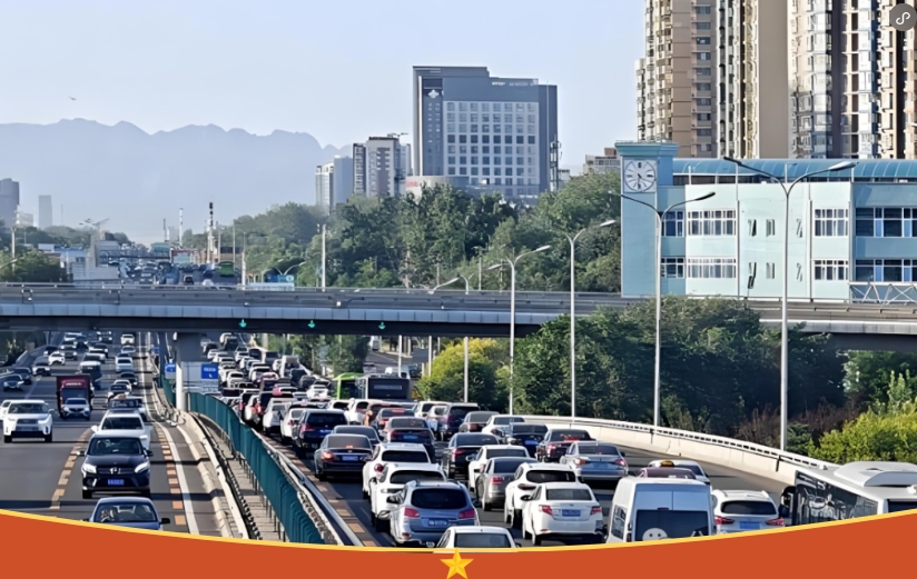 日韩丰满少妇无码内射